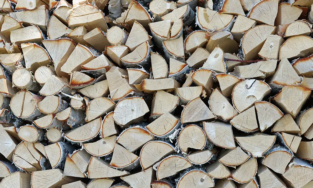 kiln dried birch logs