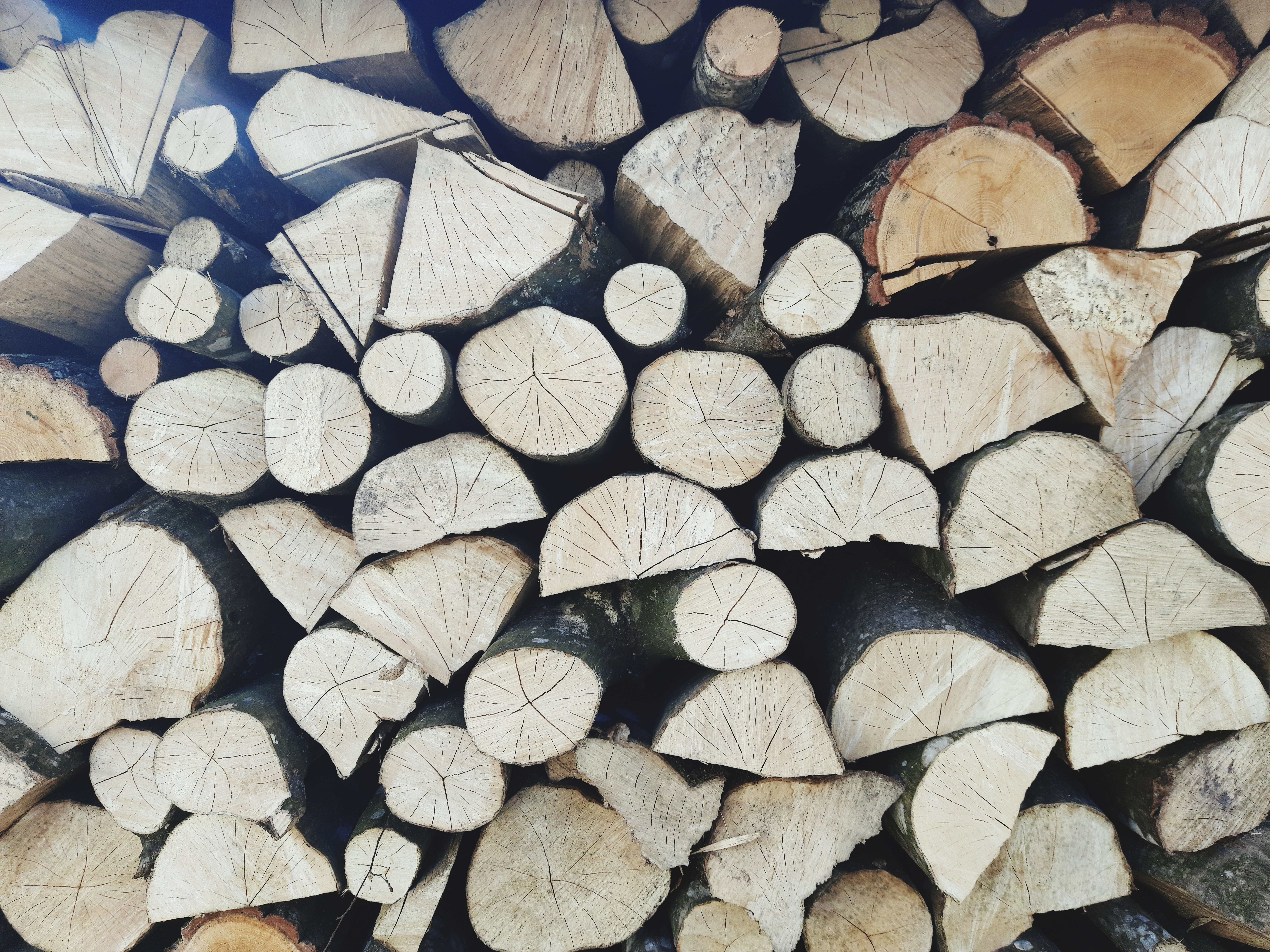 Hornbeam,Firewood,Is,Well,Stacked