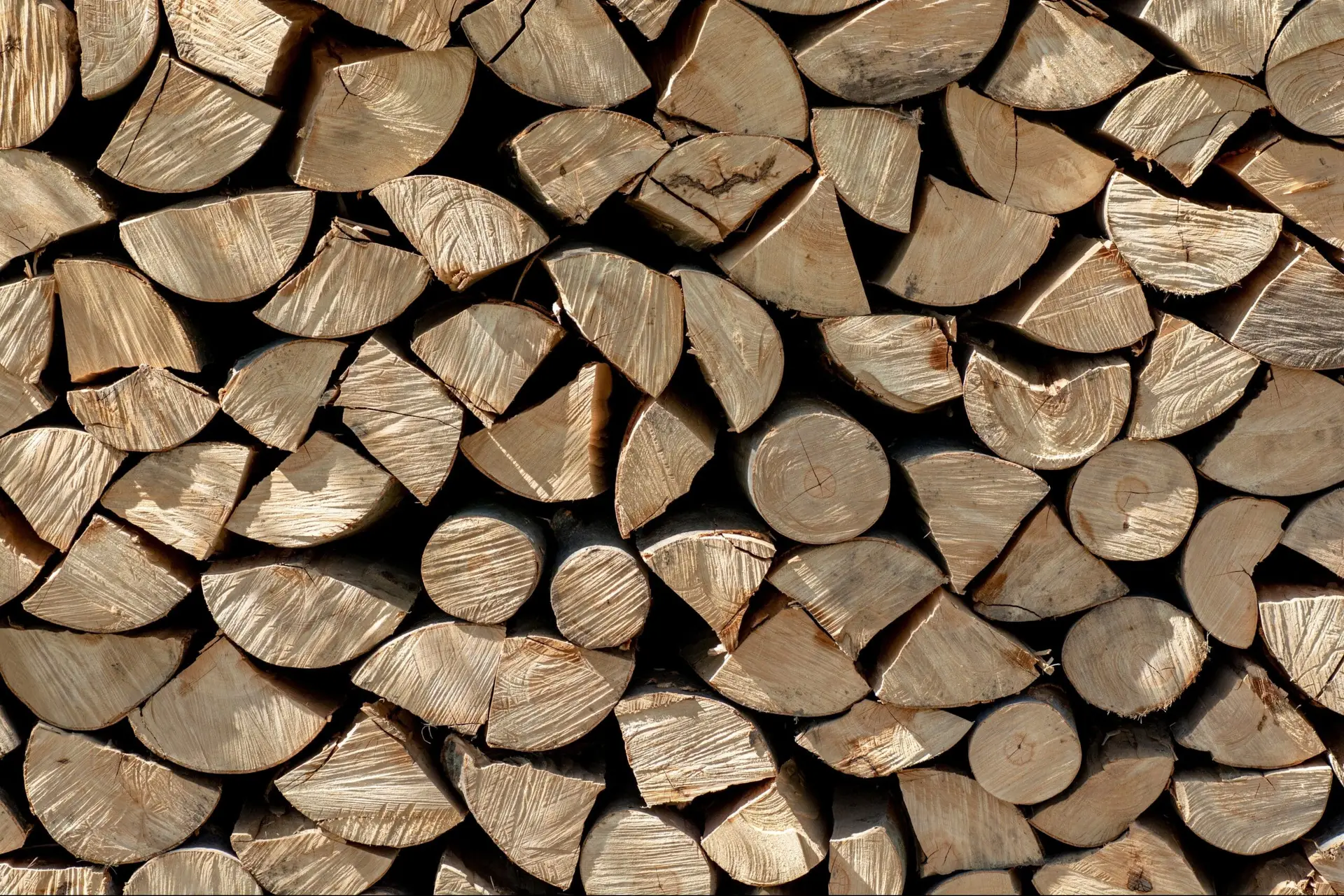Dried Log Supplier
